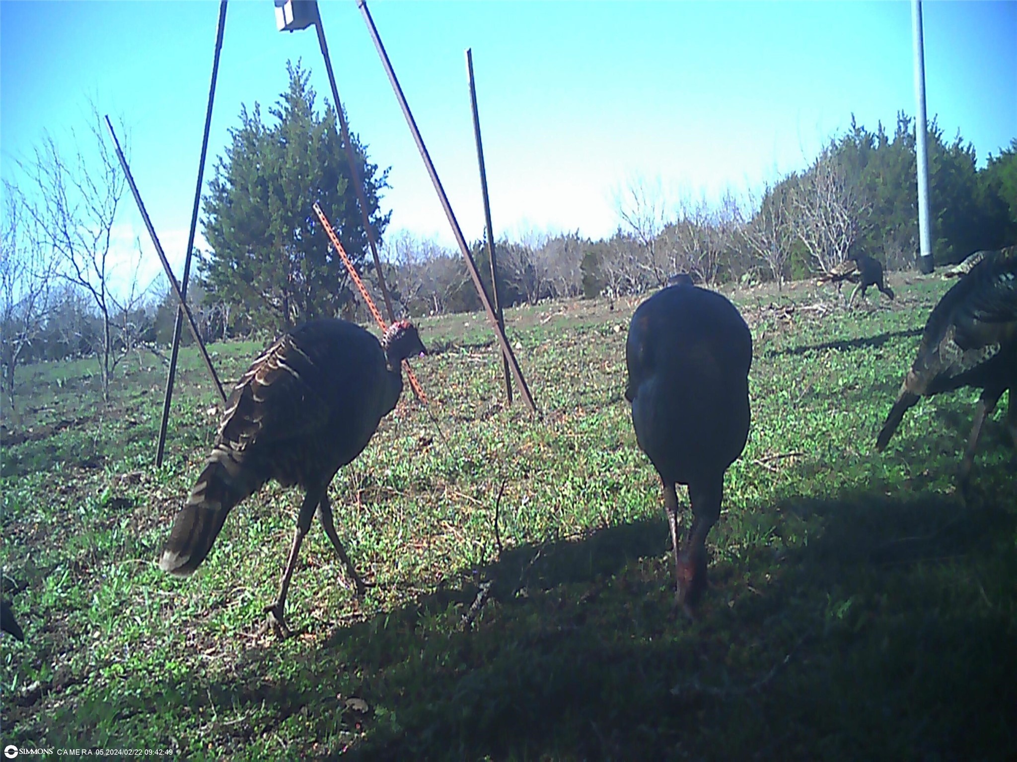 Tbd Highway 16 S San Saba TX 76877