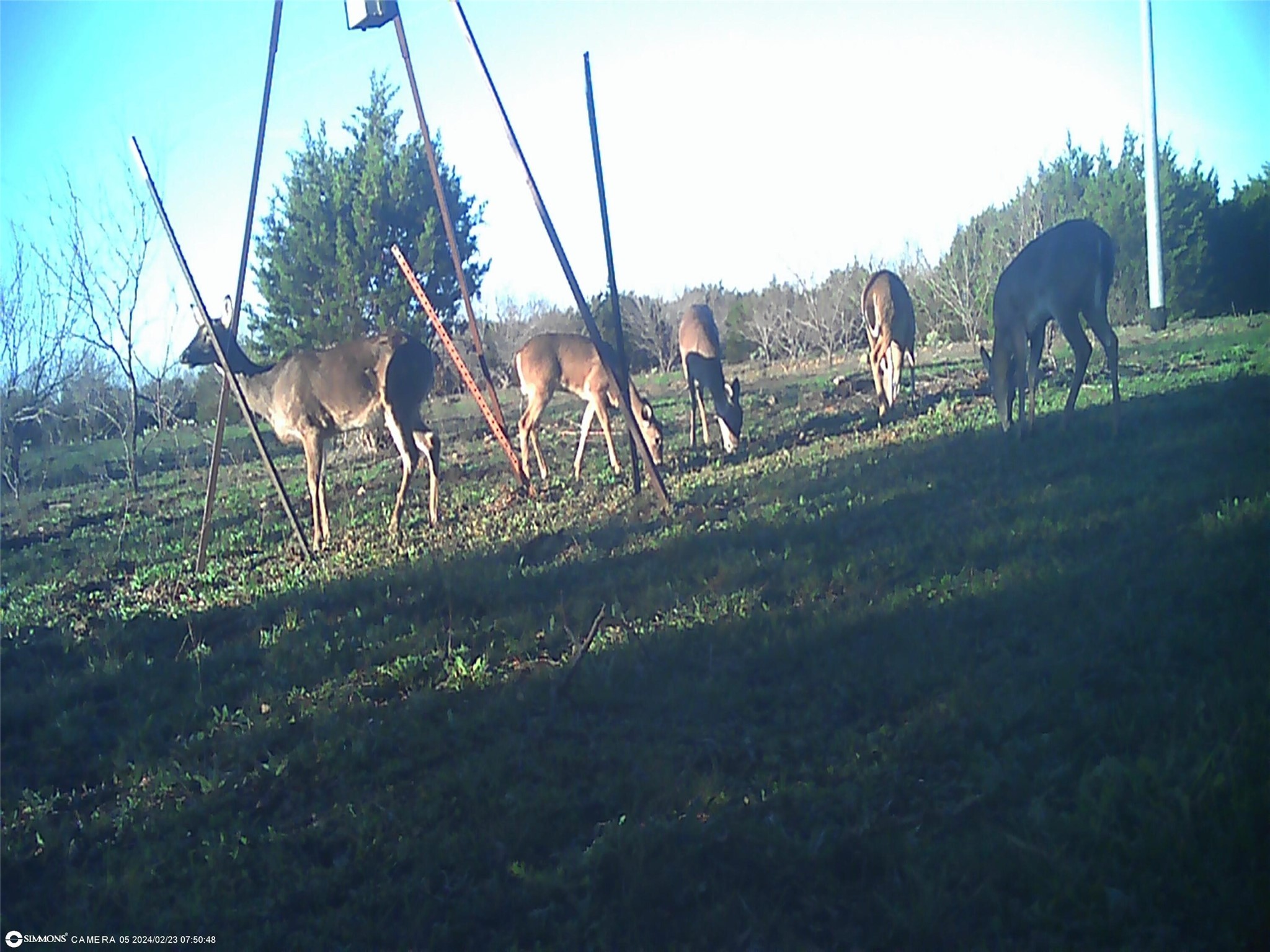 Tbd Highway 16 S San Saba TX 76877