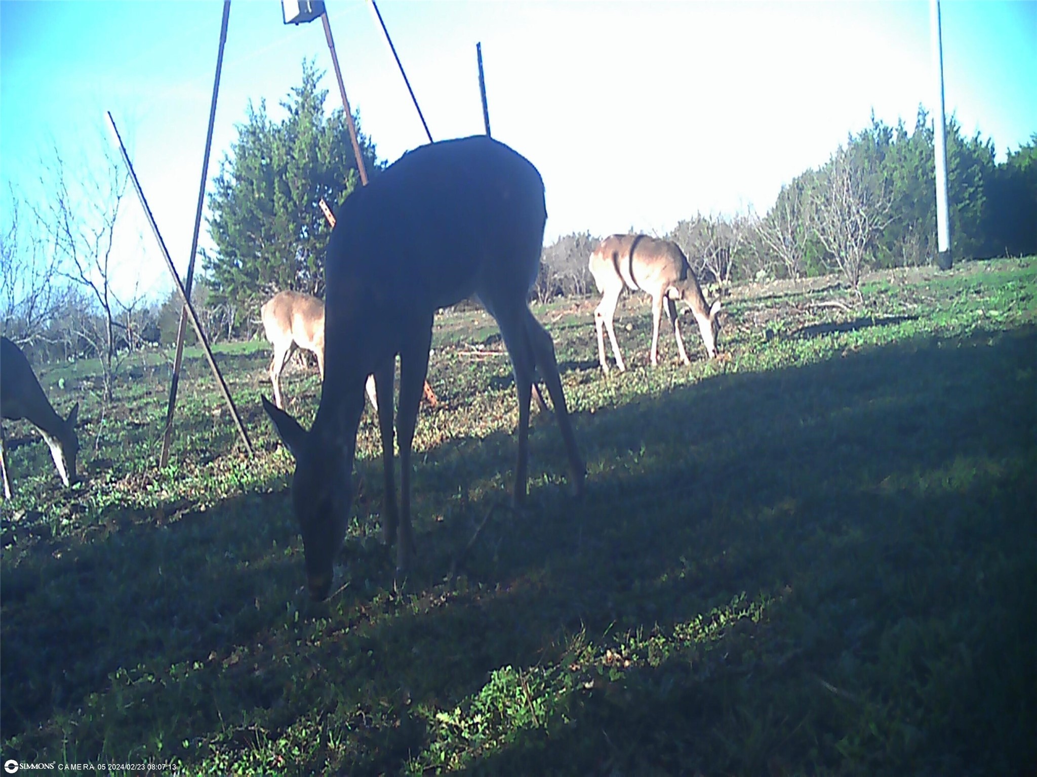 Tbd Highway 16 S San Saba TX 76877