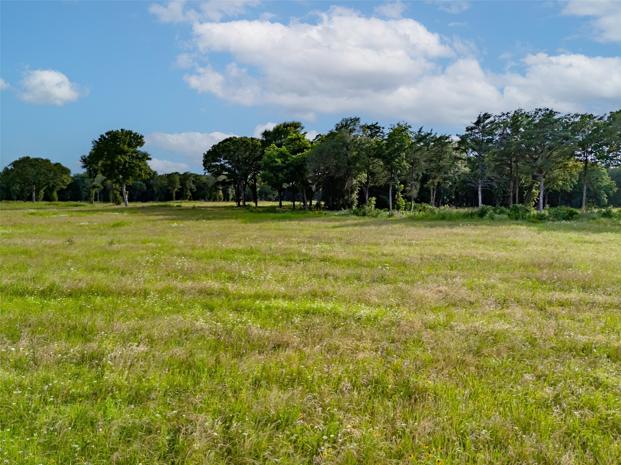 310 Lakewood Lane Honey Grove TX 75446