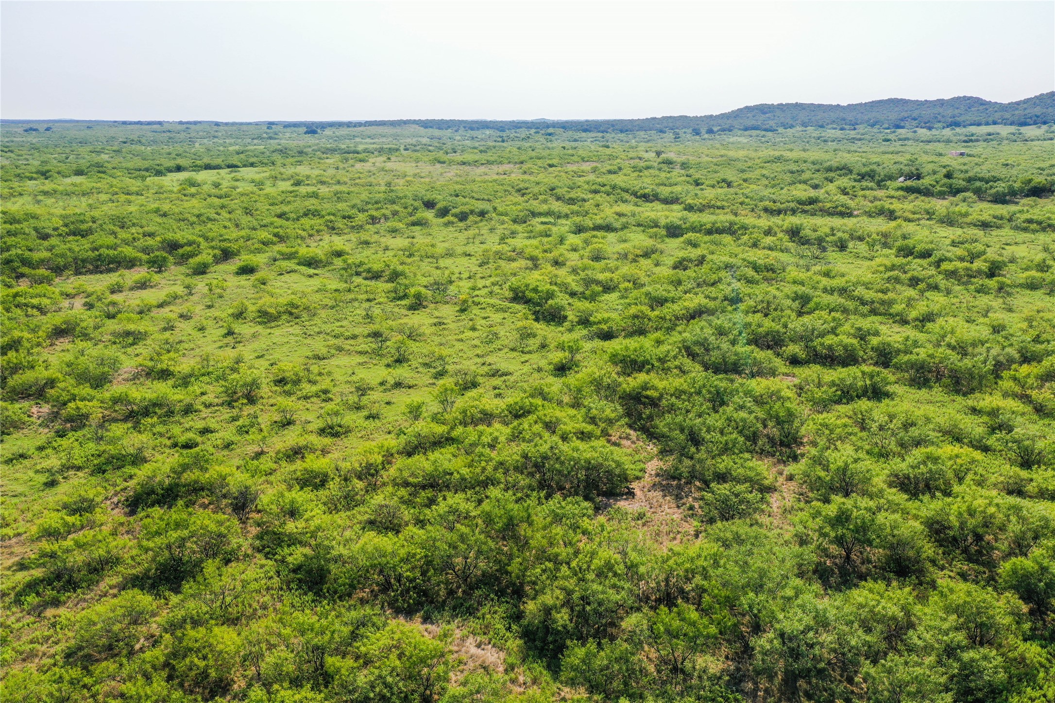 262.71 Acres Fm 1191 Jacksboro TX 76458