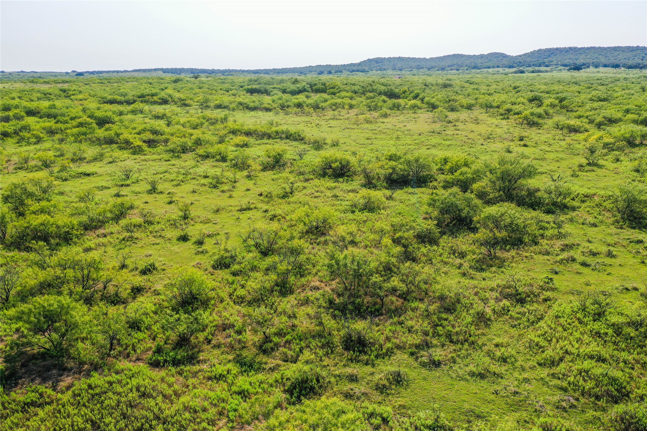 262.71 Acres Fm 1191 Jacksboro TX 76458