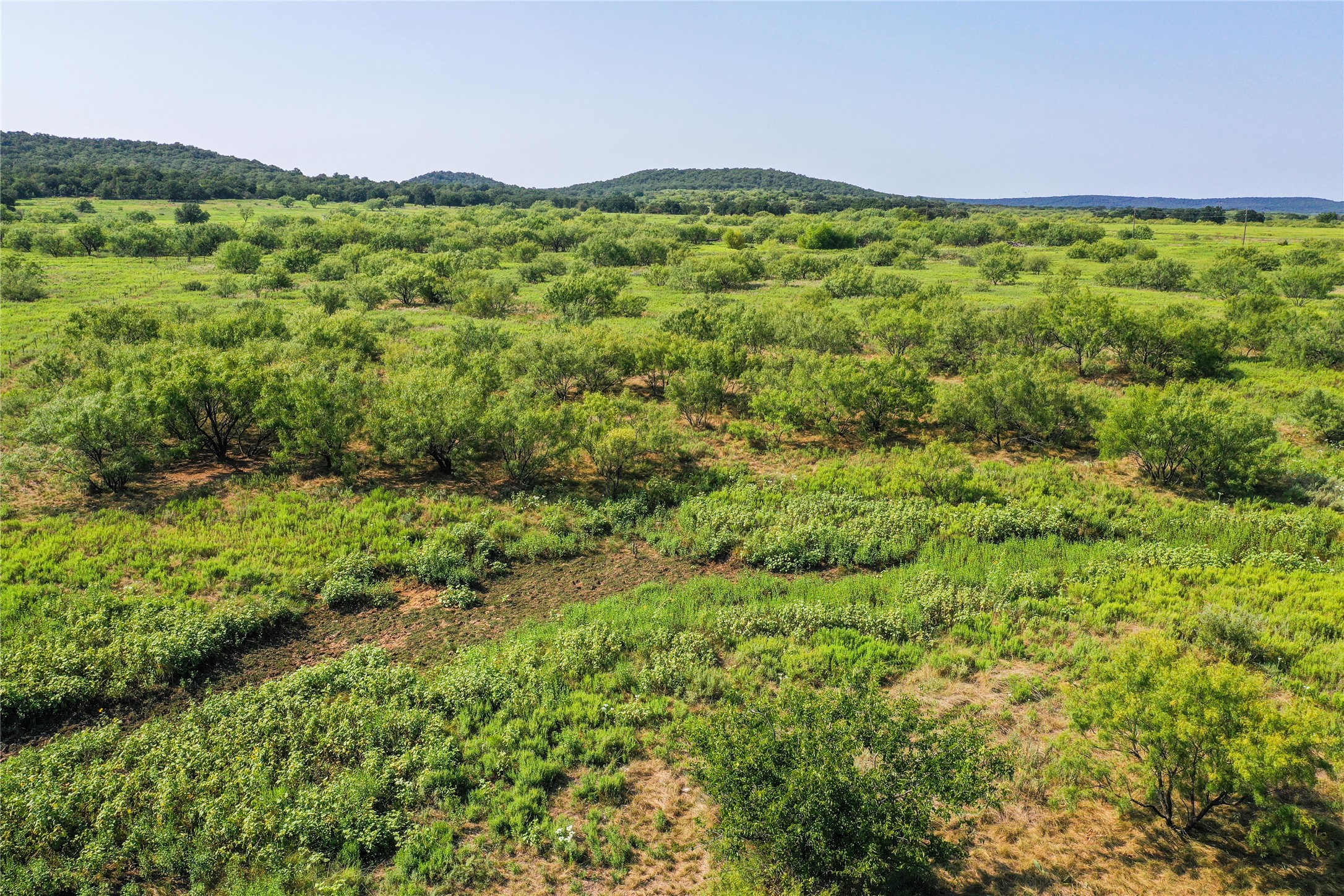 262.71 Acres Fm 1191 Jacksboro TX 76458