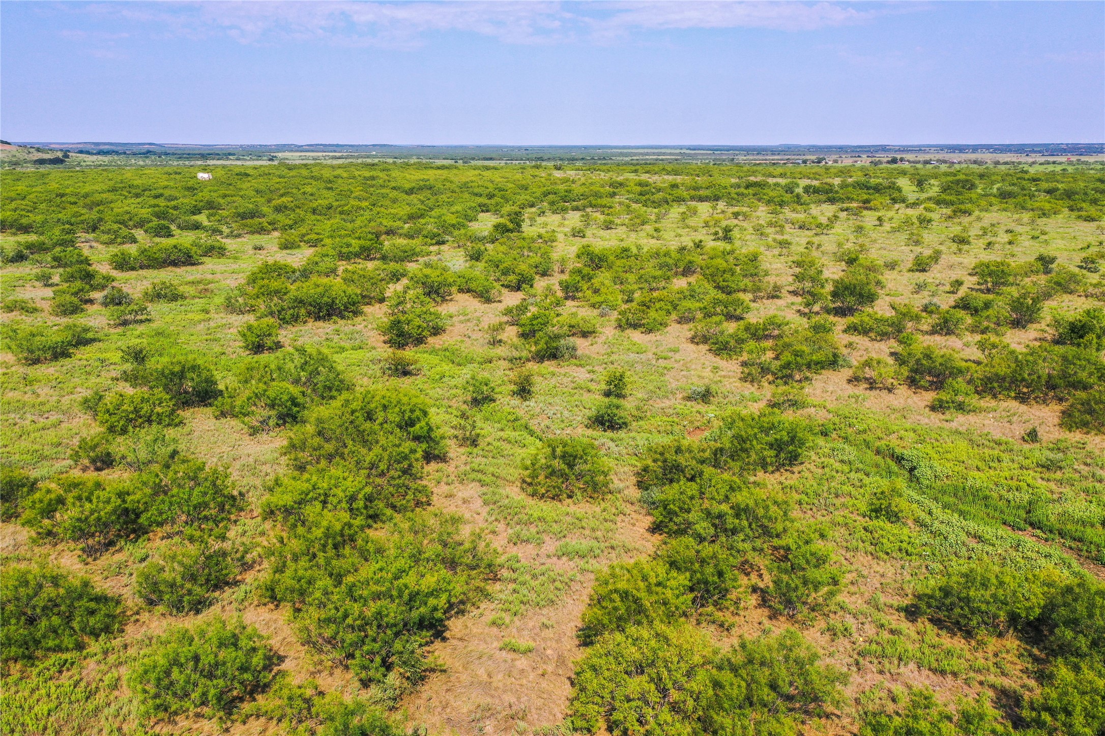 262.71 Acres Fm 1191 Jacksboro TX 76458
