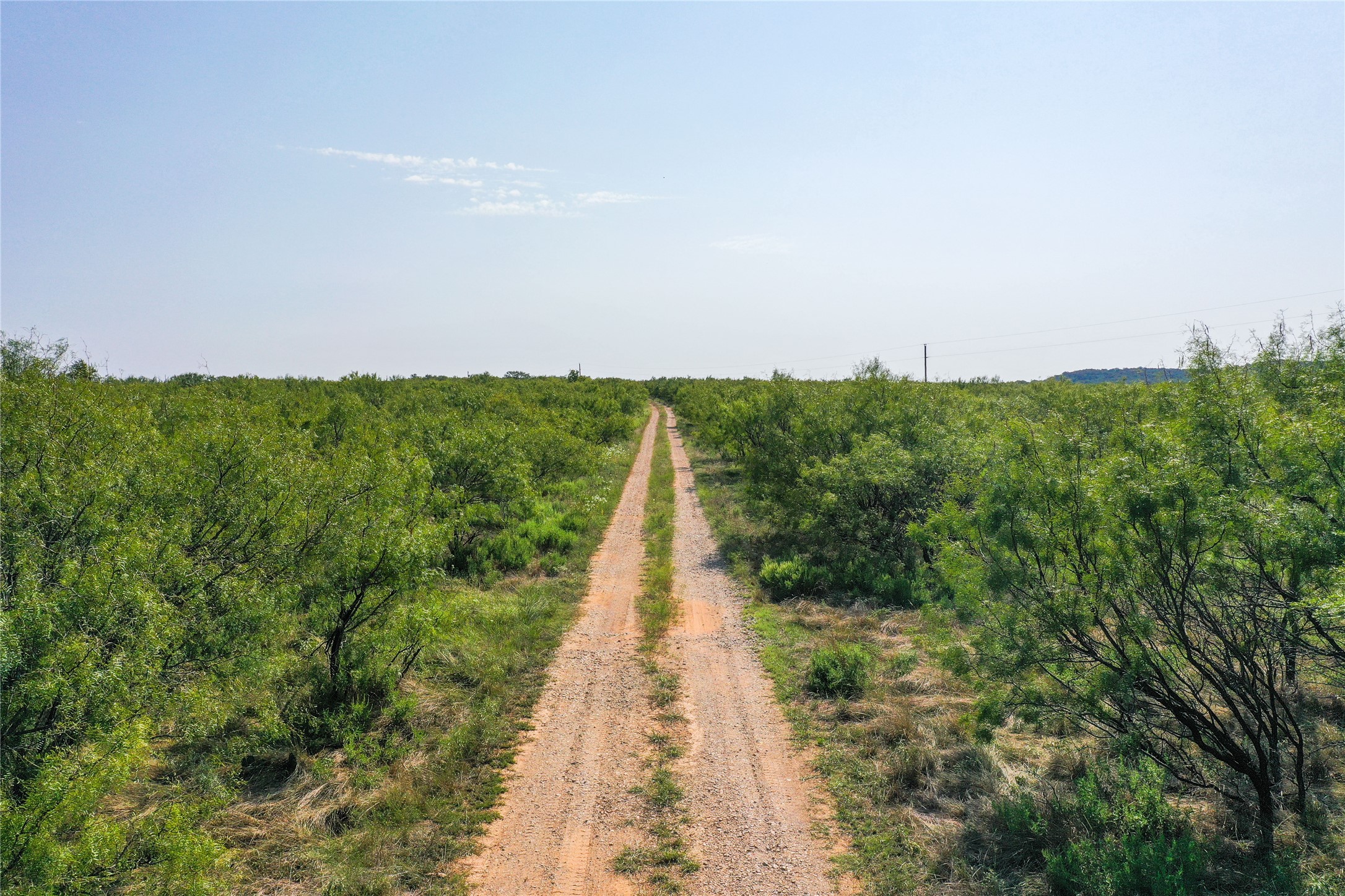 262.71 Acres Fm 1191 Jacksboro TX 76458