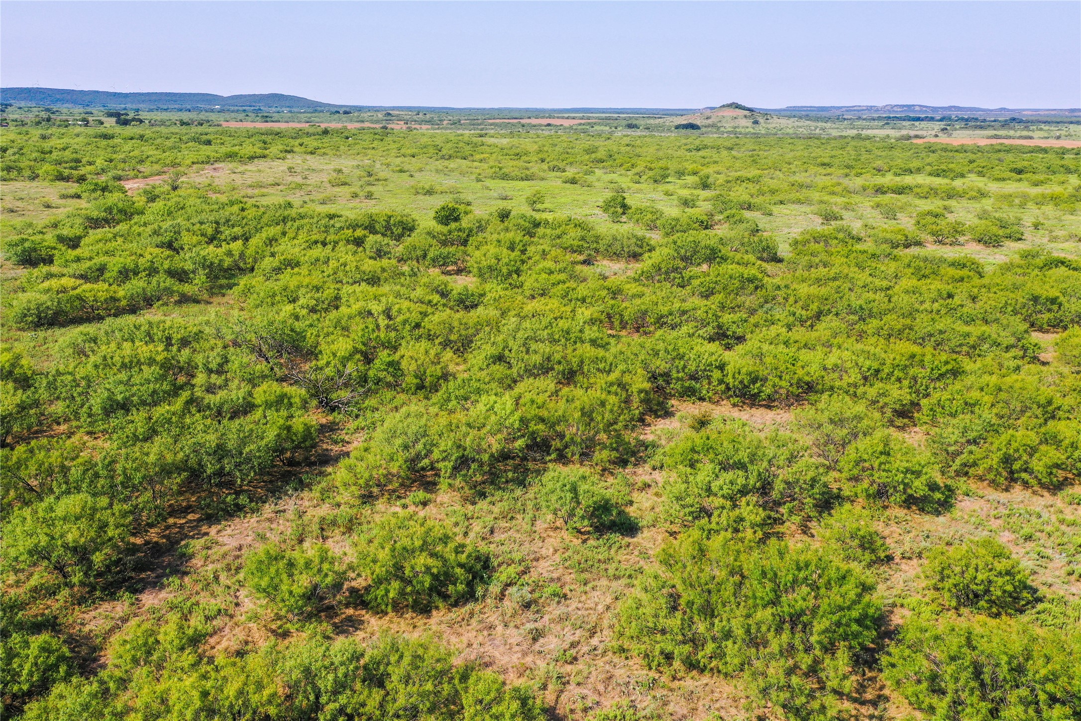 262.71 Acres Fm 1191 Jacksboro TX 76458
