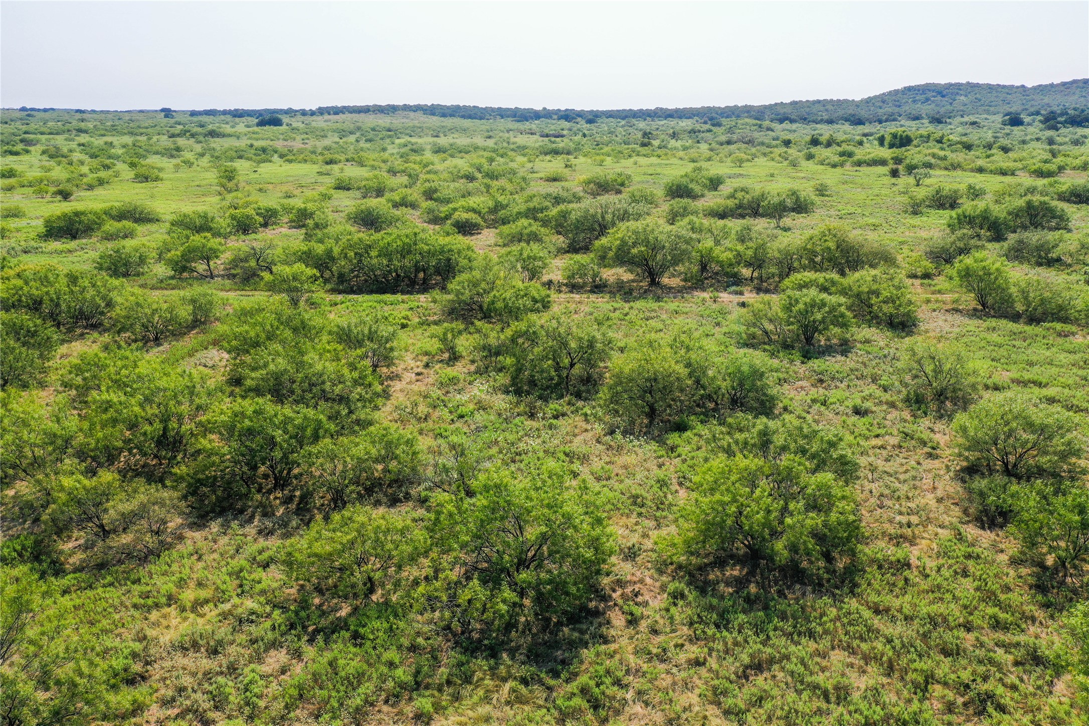 262.71 Acres Fm 1191 Jacksboro TX 76458