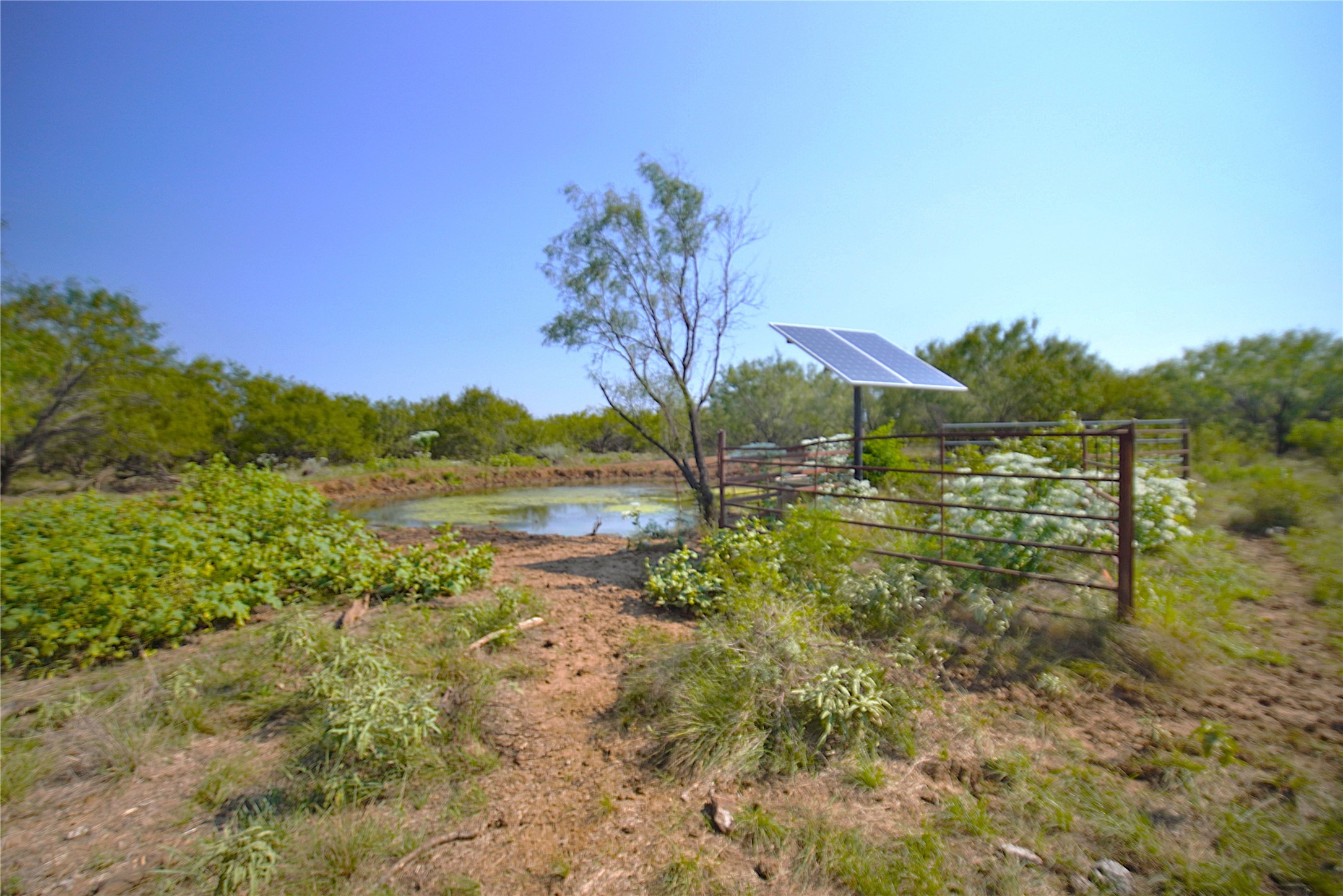 262.71 Acres Fm 1191 Jacksboro TX 76458