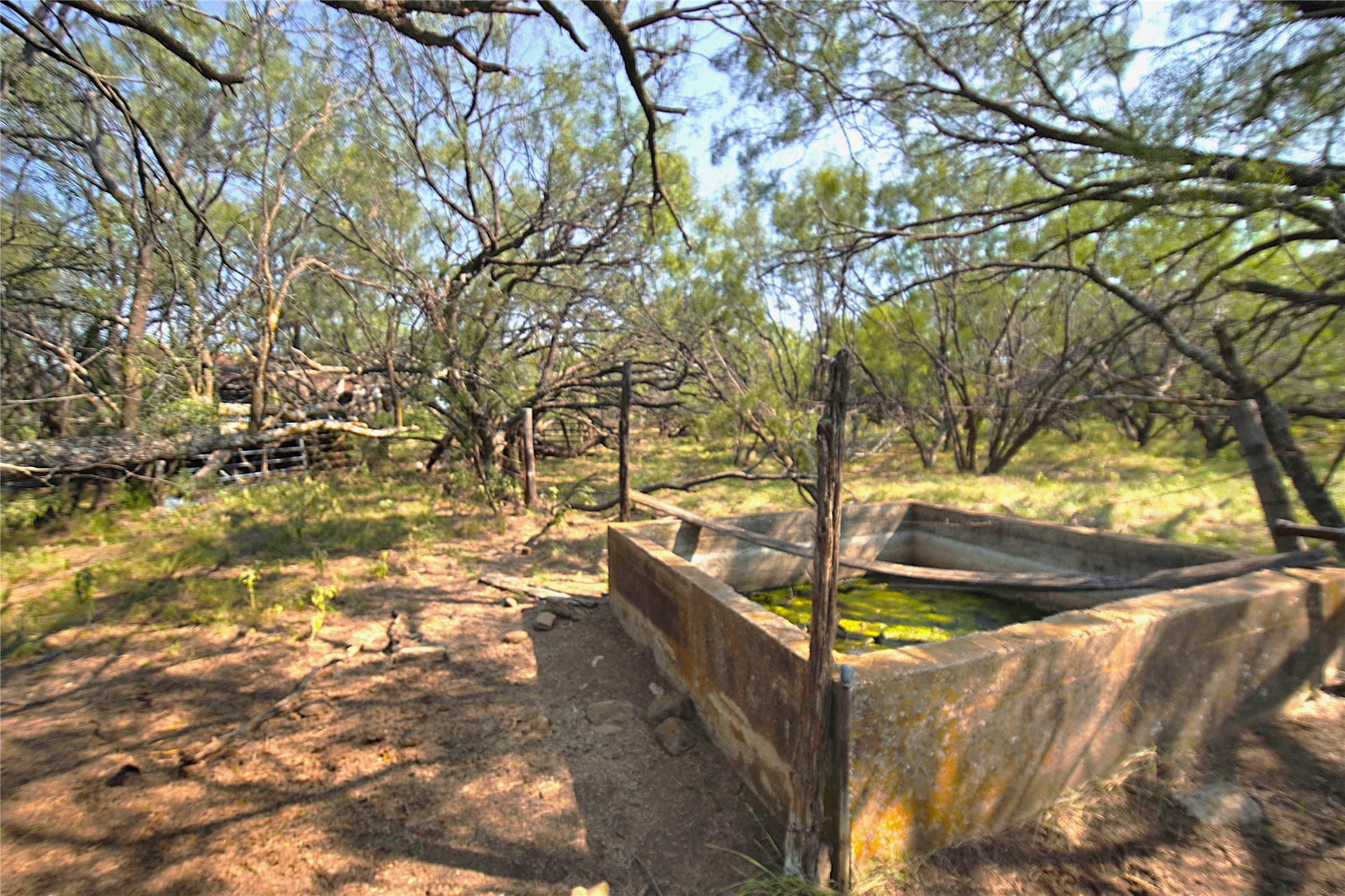 262.71 Acres Fm 1191 Jacksboro TX 76458