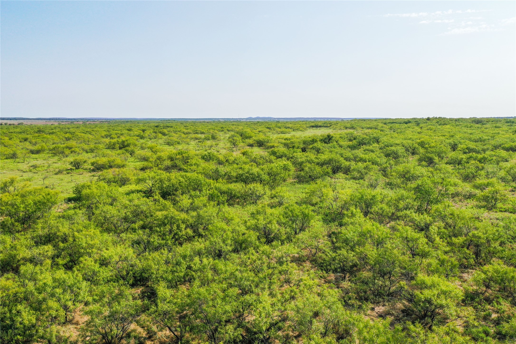 262.71 Acres Fm 1191 Jacksboro TX 76458