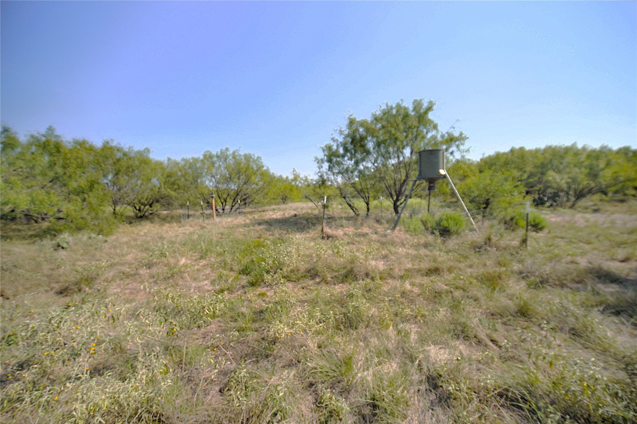 262.71 Acres Fm 1191 Jacksboro TX 76458