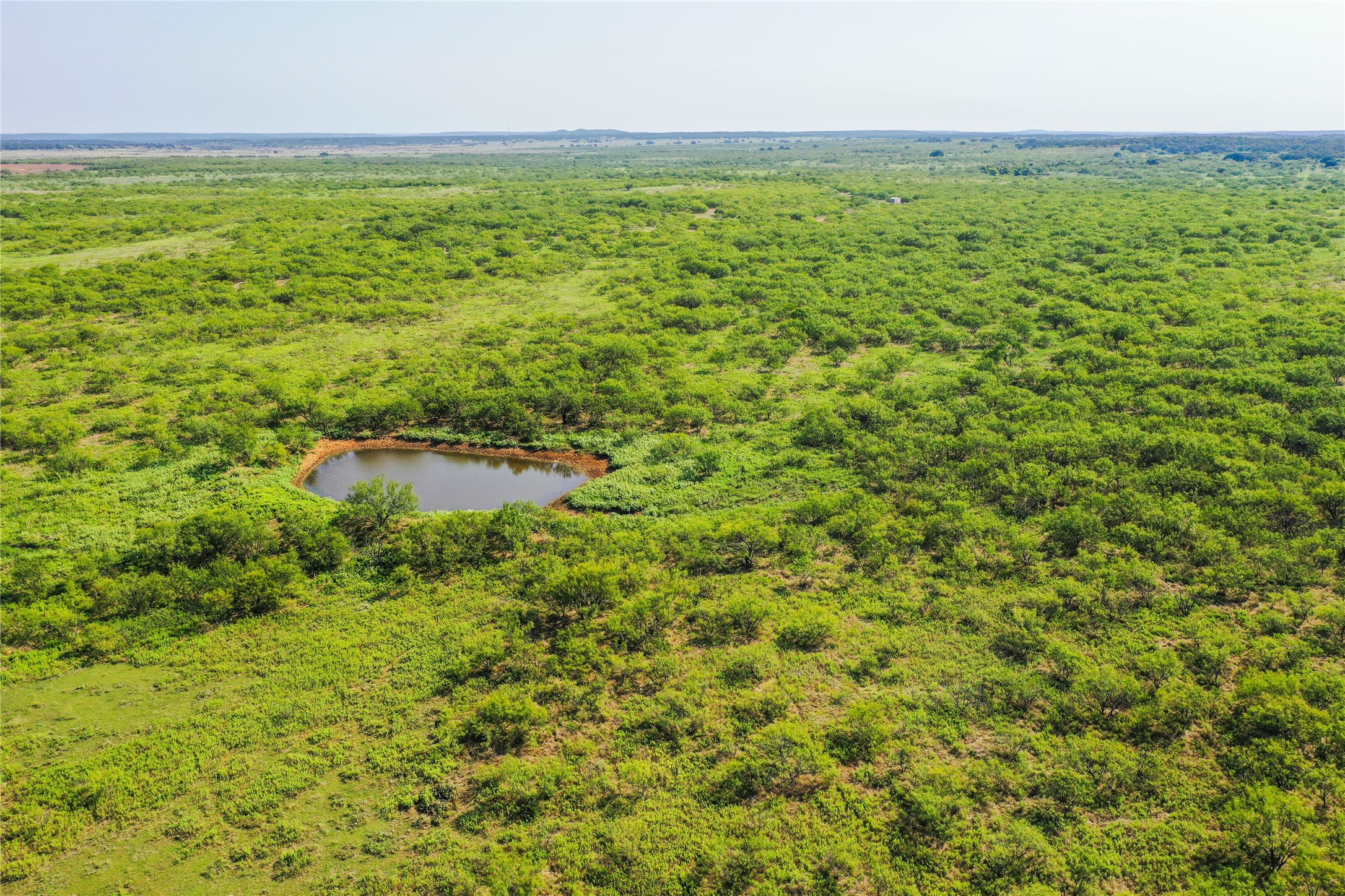 262.71 Acres Fm 1191 Jacksboro TX 76458