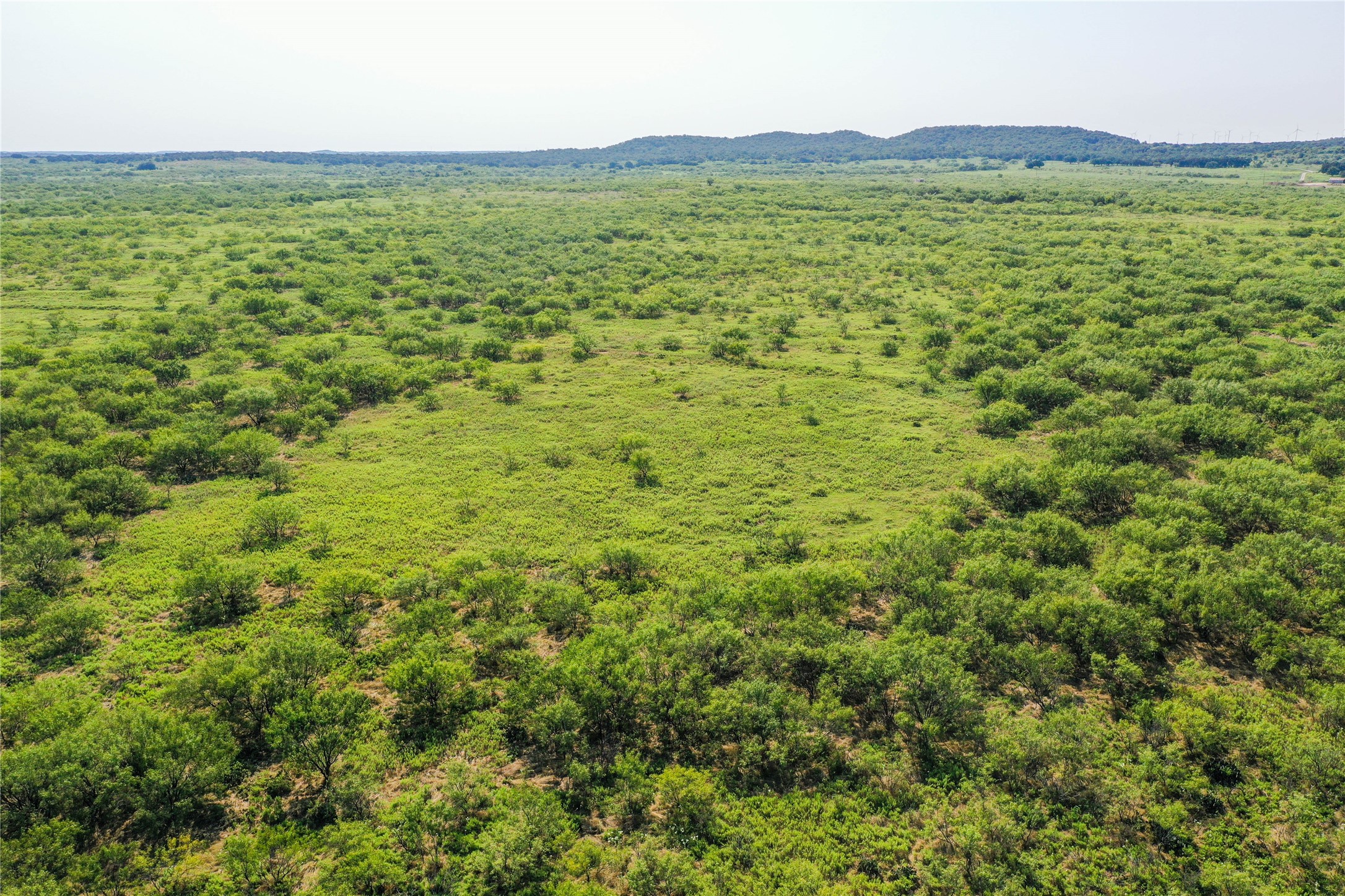 262.71 Acres Fm 1191 Jacksboro TX 76458