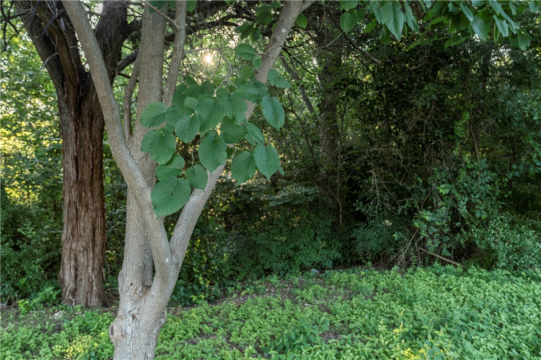2906 Maple Hill Circle Waco TX 76708