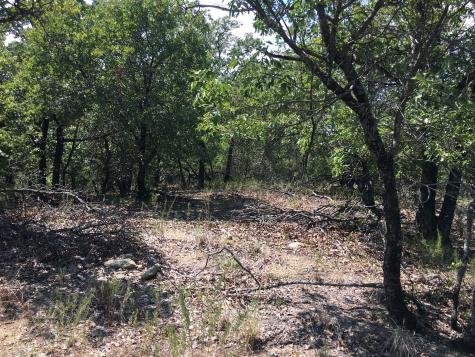 Lot 457 Lakeside Drive Bowie TX 76230