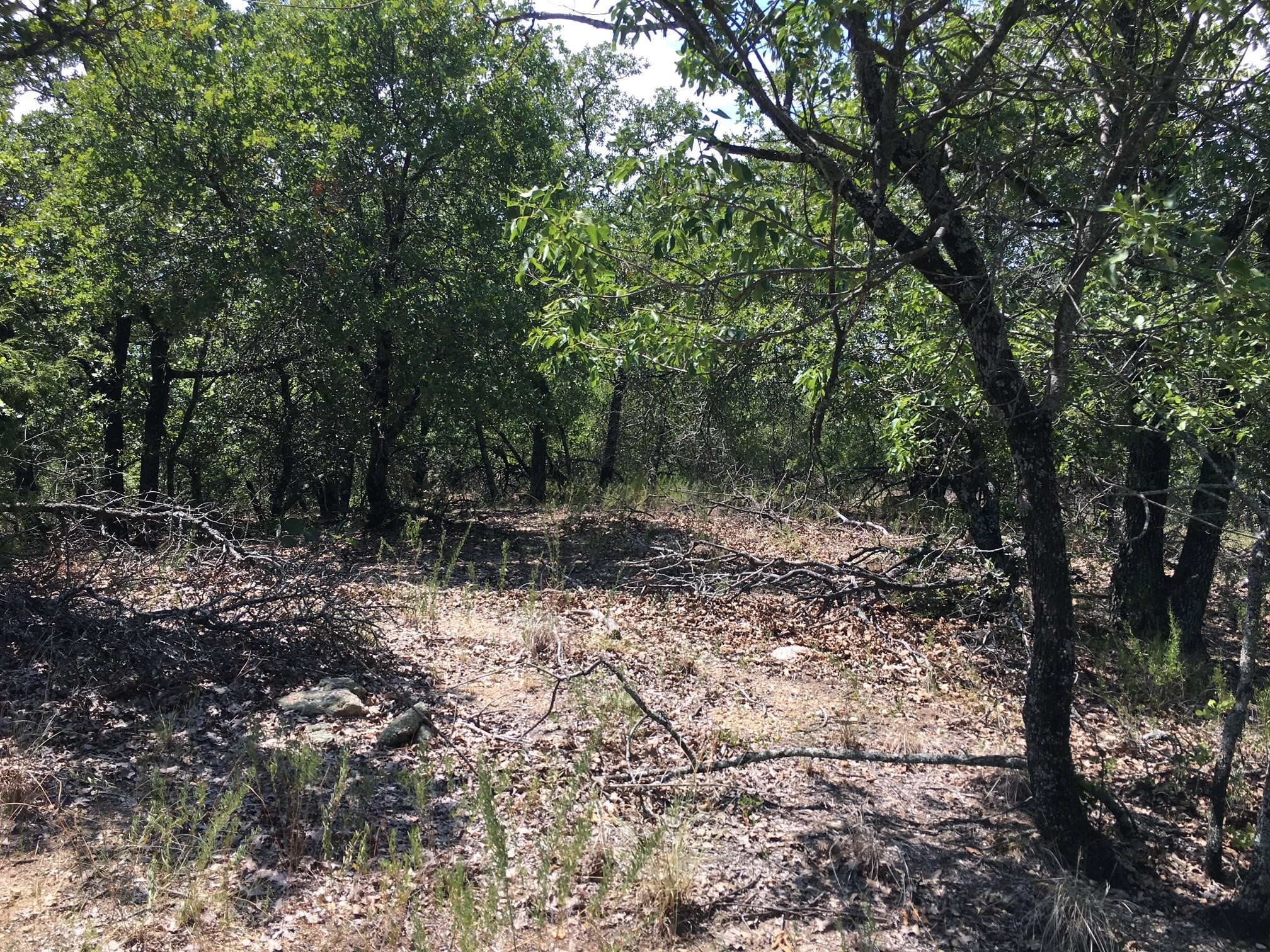 Lot 457 Lakeside Drive Bowie TX 76230