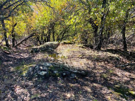 Lot 457 Lakeside Drive Bowie TX 76230