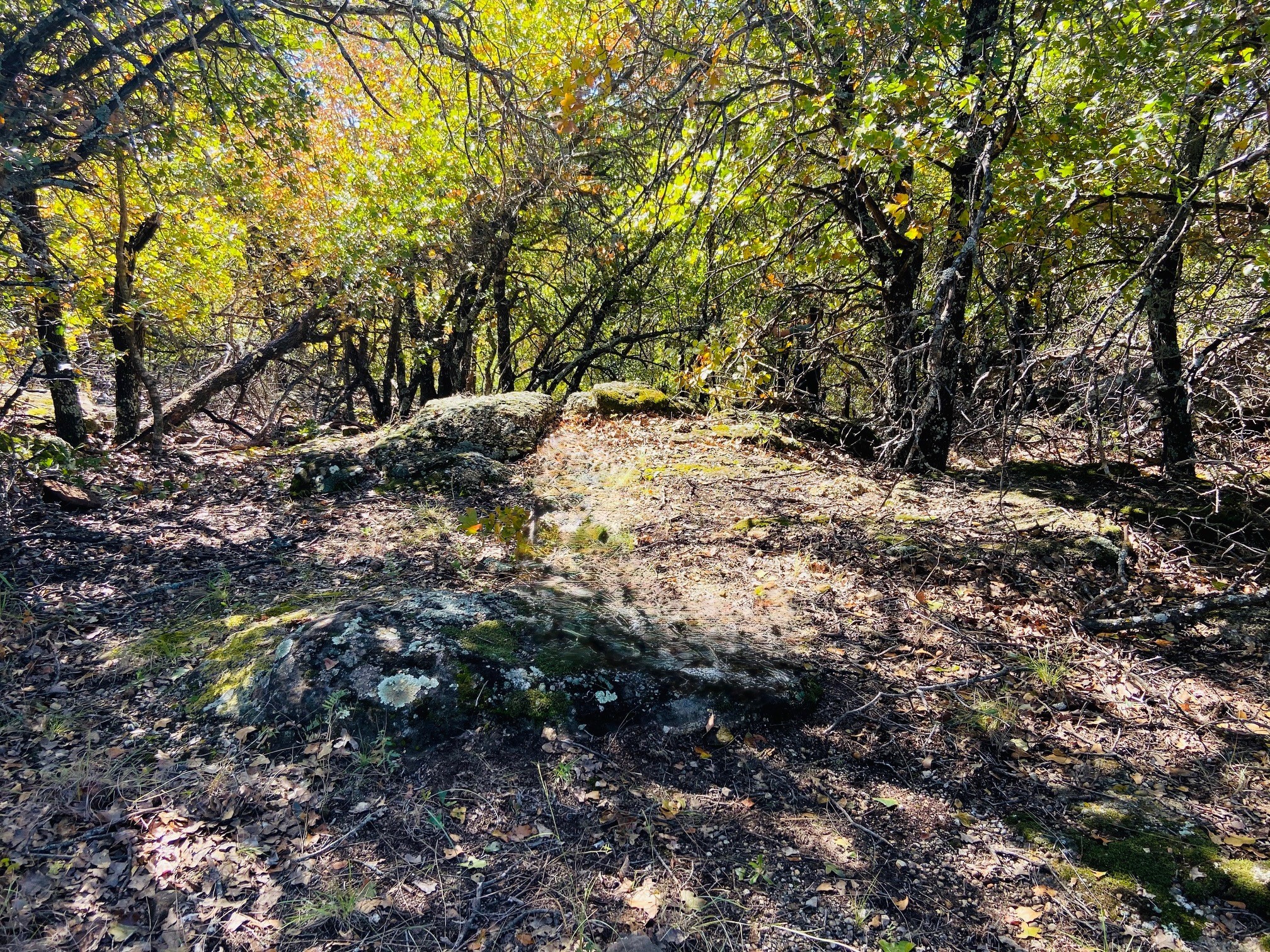 Lot 457 Lakeside Drive Bowie TX 76230