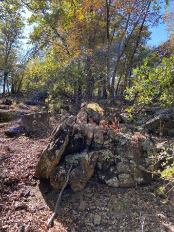 Lot 457 Lakeside Drive Bowie TX 76230