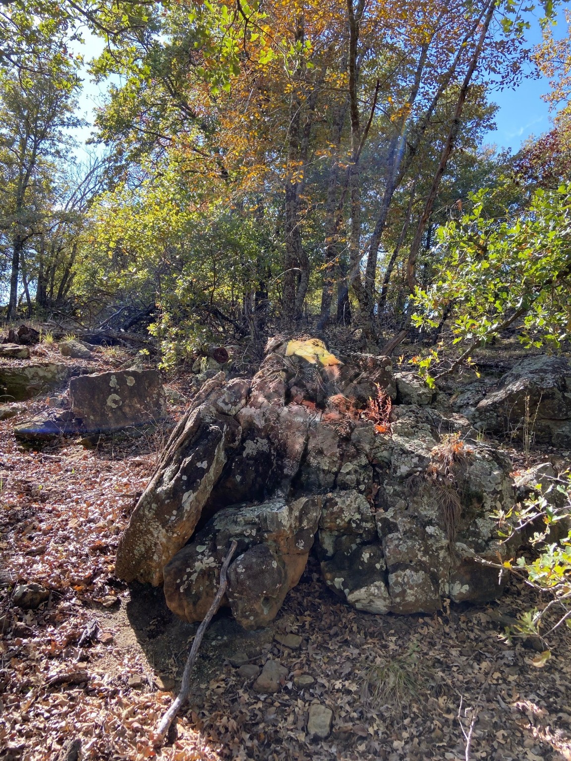 Lot 457 Lakeside Drive Bowie TX 76230