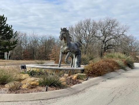 Lot 457 Lakeside Drive Bowie TX 76230