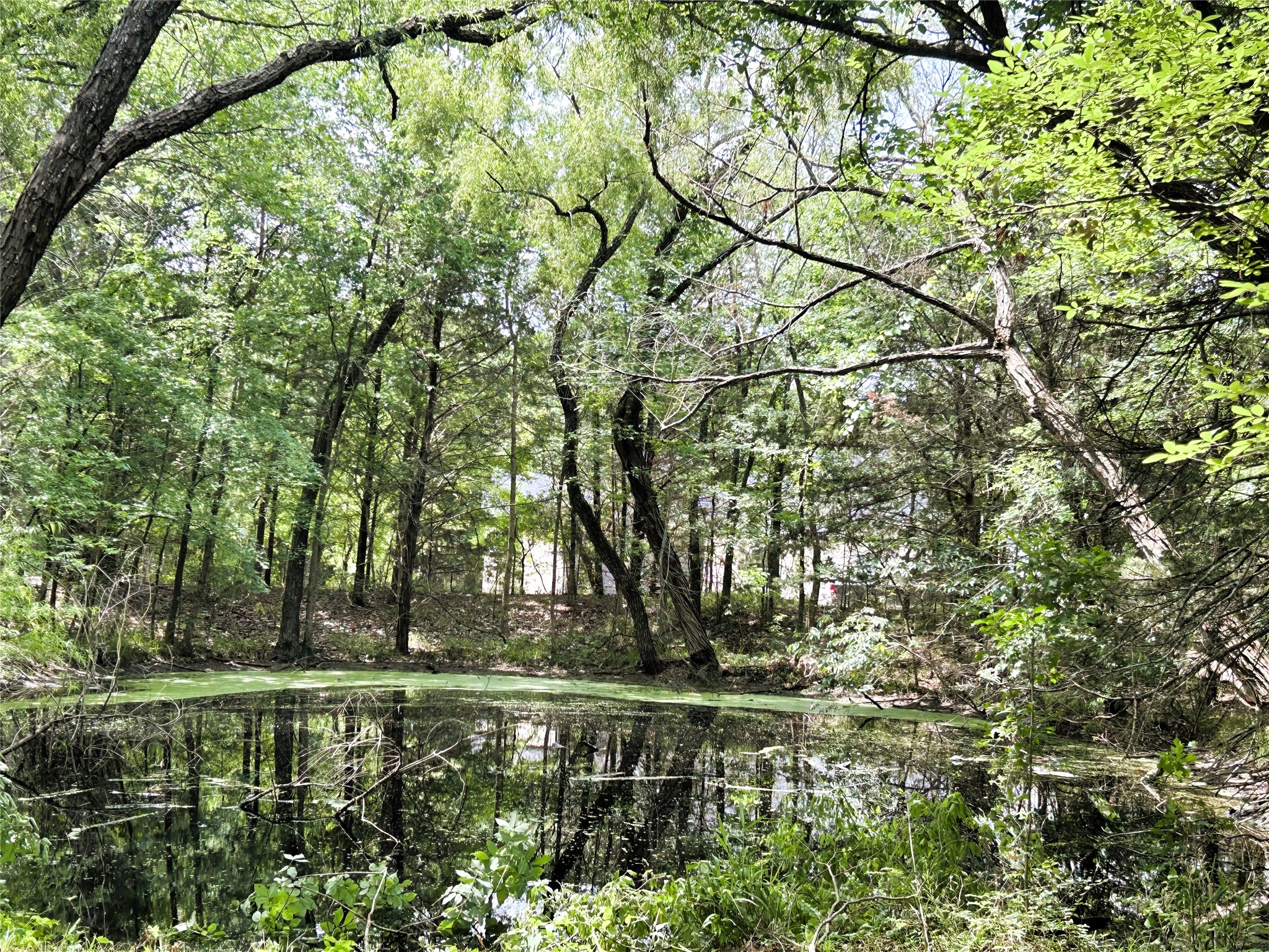Lot 3 North Shore Road Quinlan TX 75474