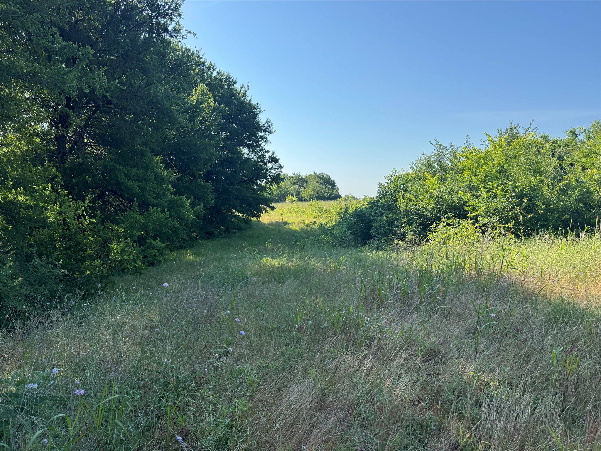 Tbd Ball Road Whitewright TX 75491