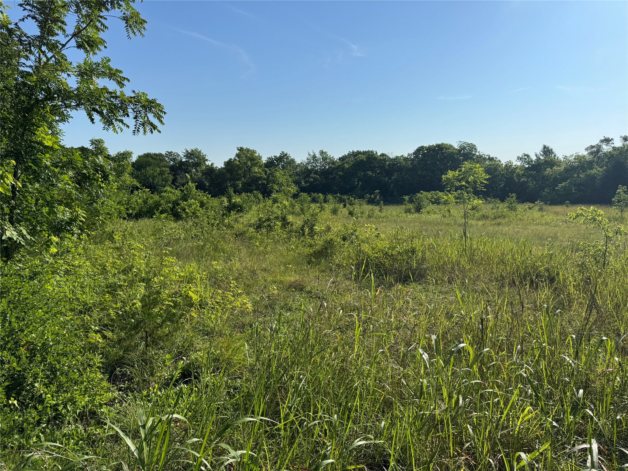 Tbd Ball Road Whitewright TX 75491