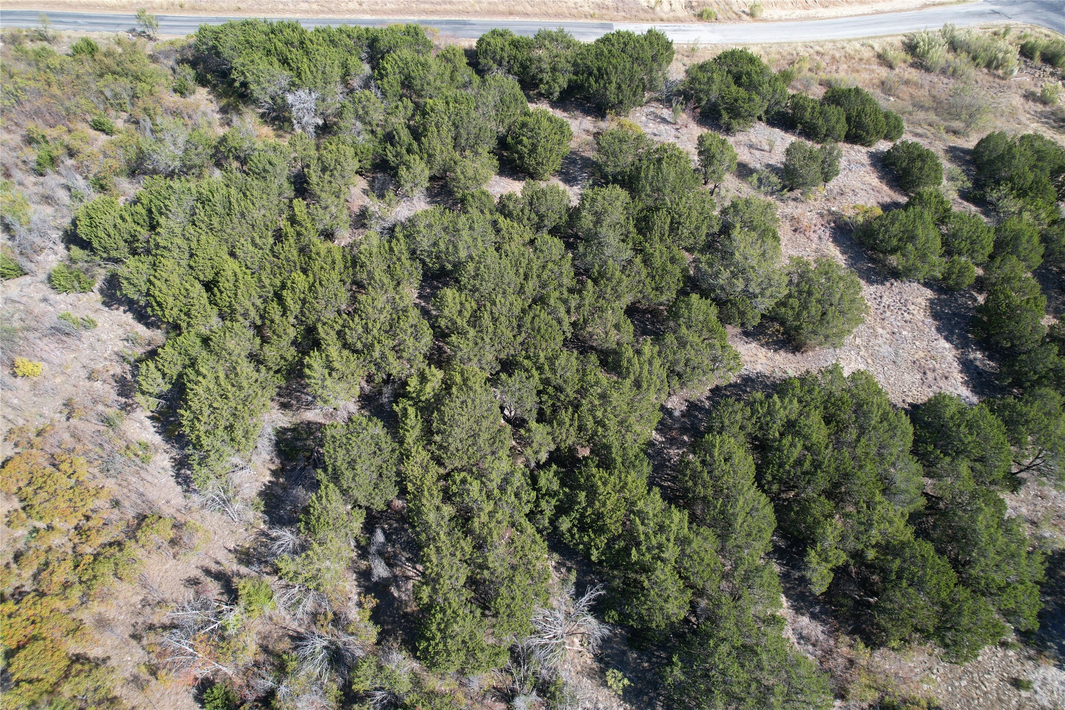 1031 Raven Circle Graford TX 76449