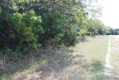 31038 Doe Run Court Whitney TX 76692