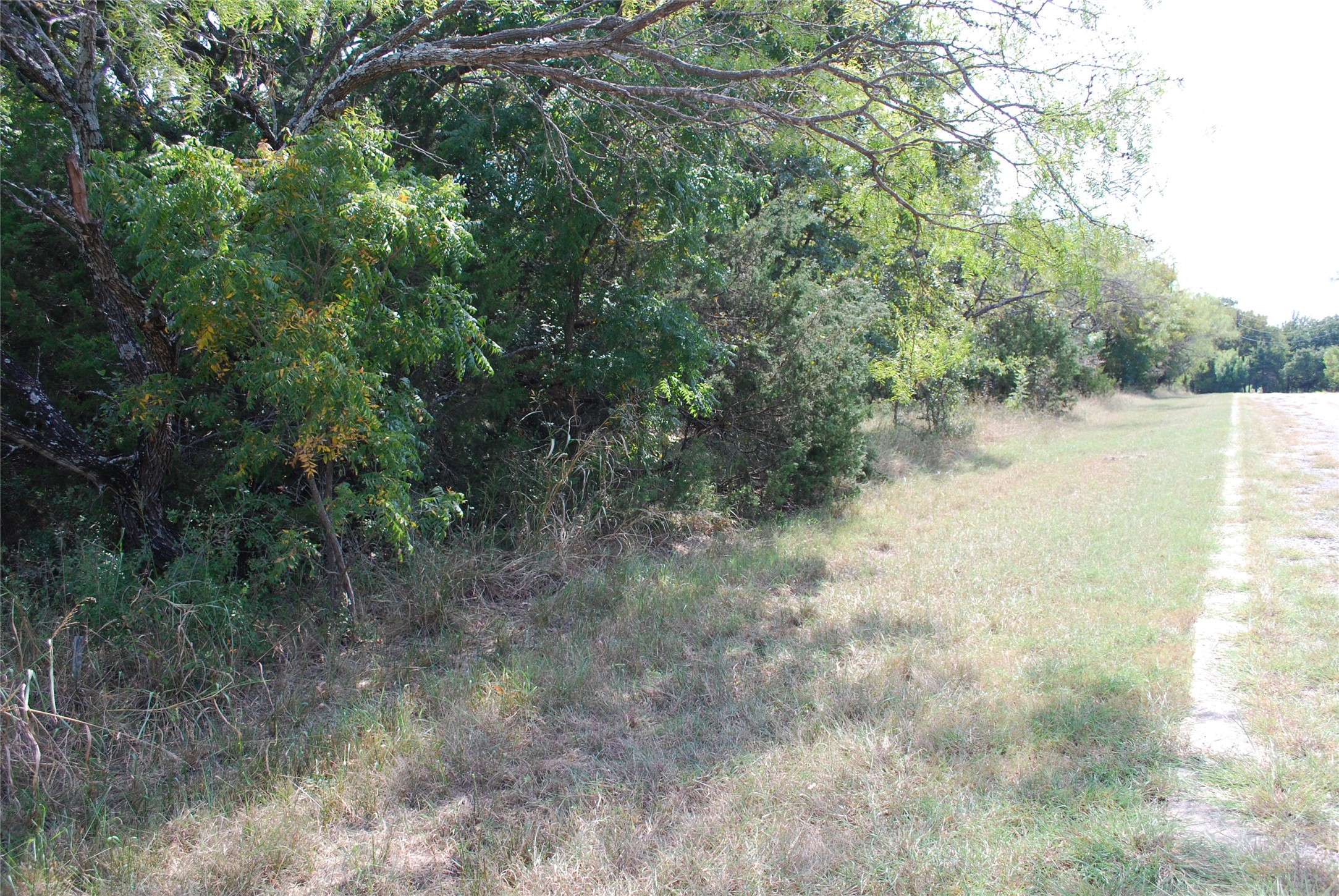 31038 Doe Run Court Whitney TX 76692