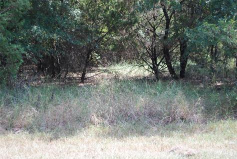 31038 Doe Run Court Whitney TX 76692