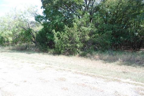 31038 Doe Run Court Whitney TX 76692