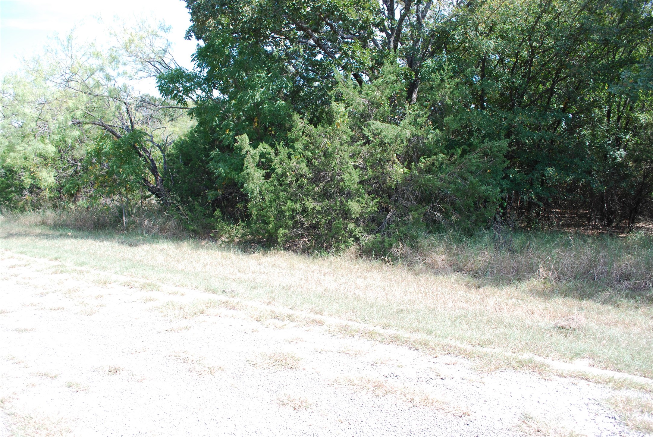 31038 Doe Run Court Whitney TX 76692