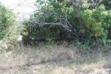 31038 Doe Run Court Whitney TX 76692
