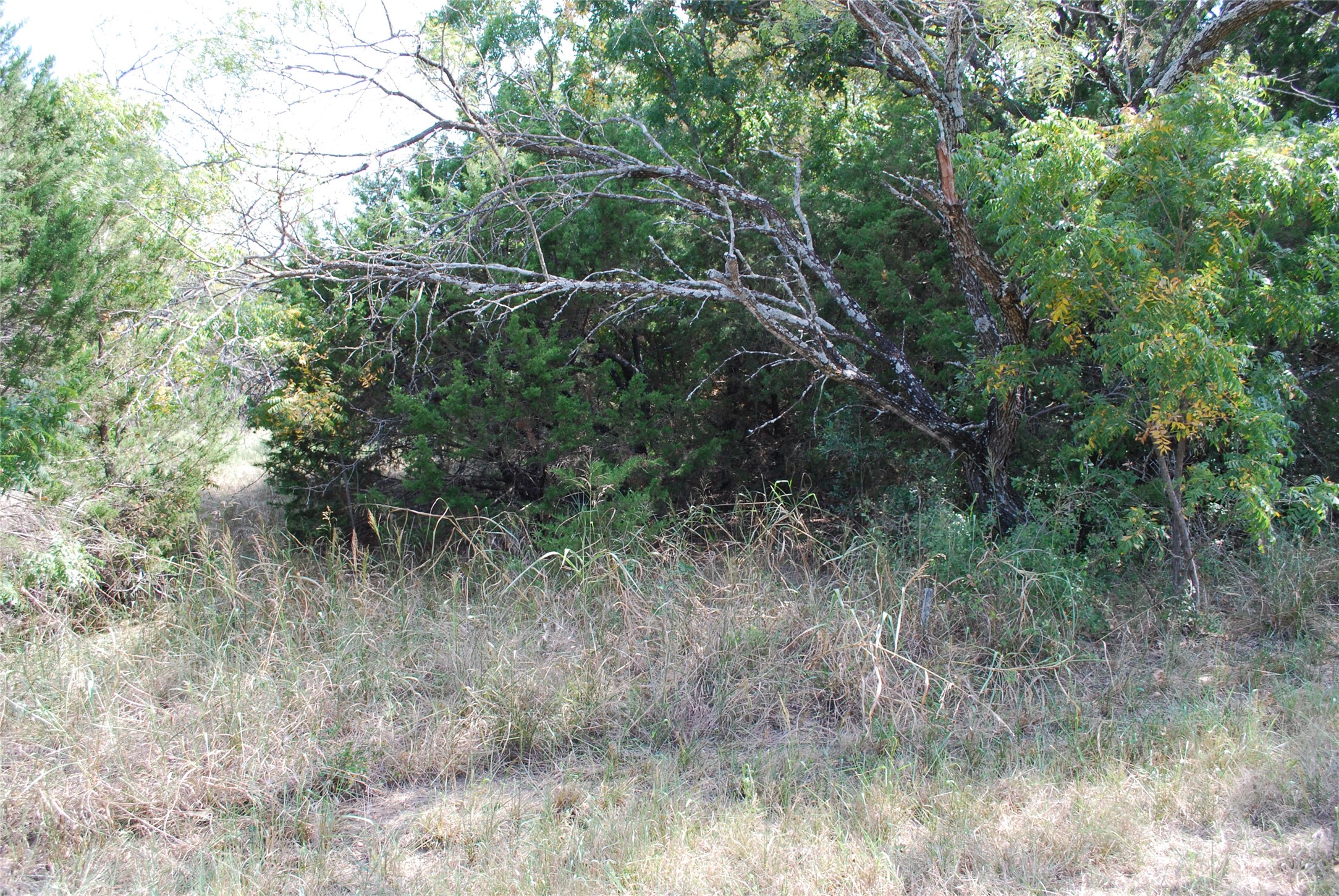 31038 Doe Run Court Whitney TX 76692