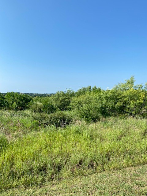 Lot 203 Evening Primrose Drive Possum Kingdom Lake TX 76449