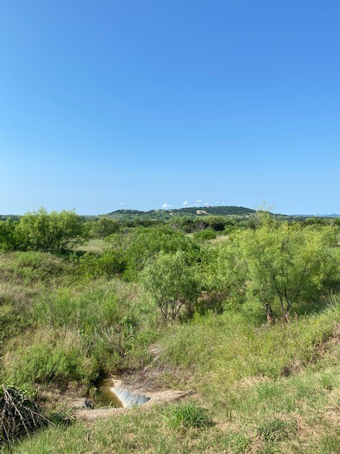 Lot 203 Evening Primrose Drive Possum Kingdom Lake TX 76449