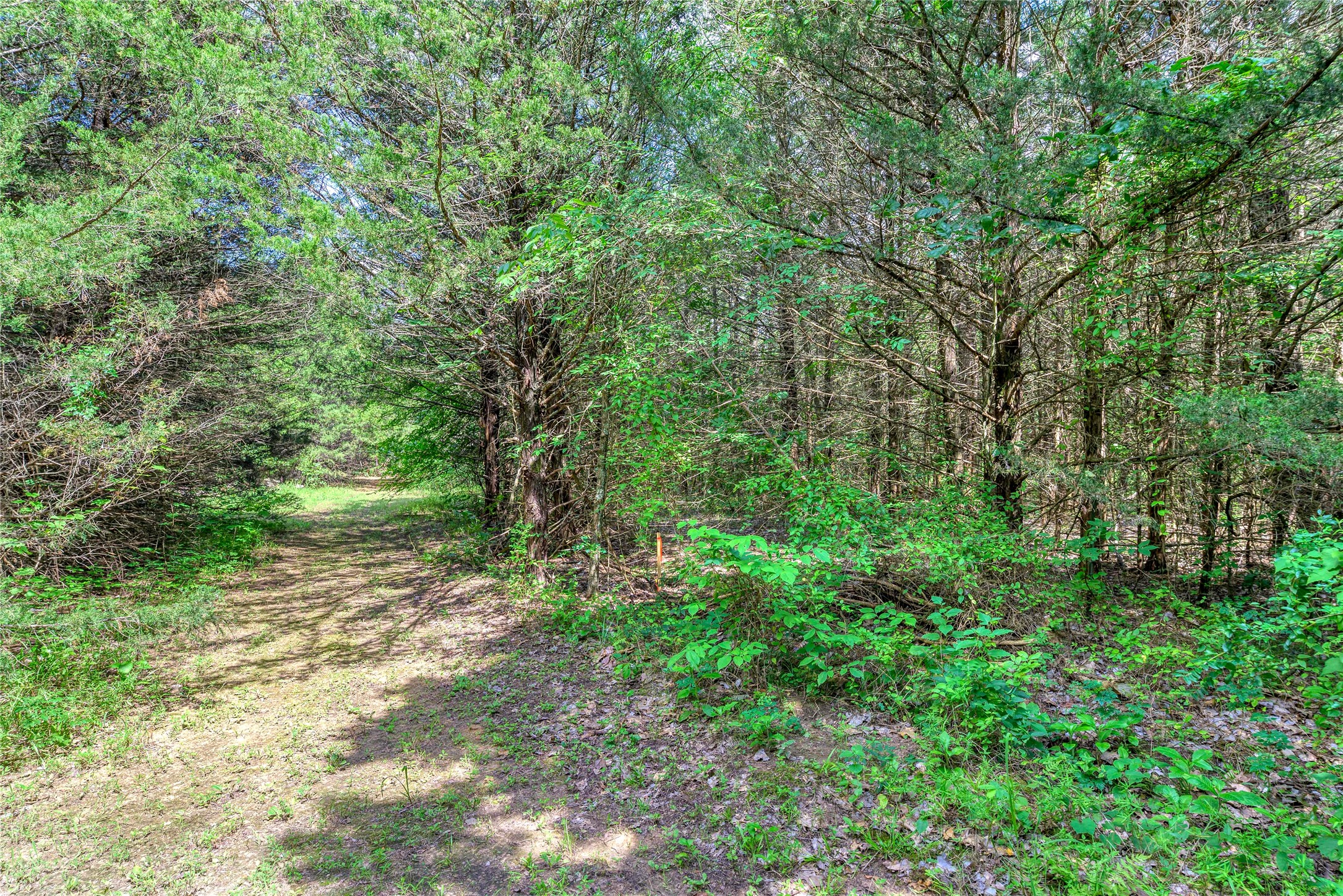 Tbd Cross Timber Estates Drive Denison TX 75021
