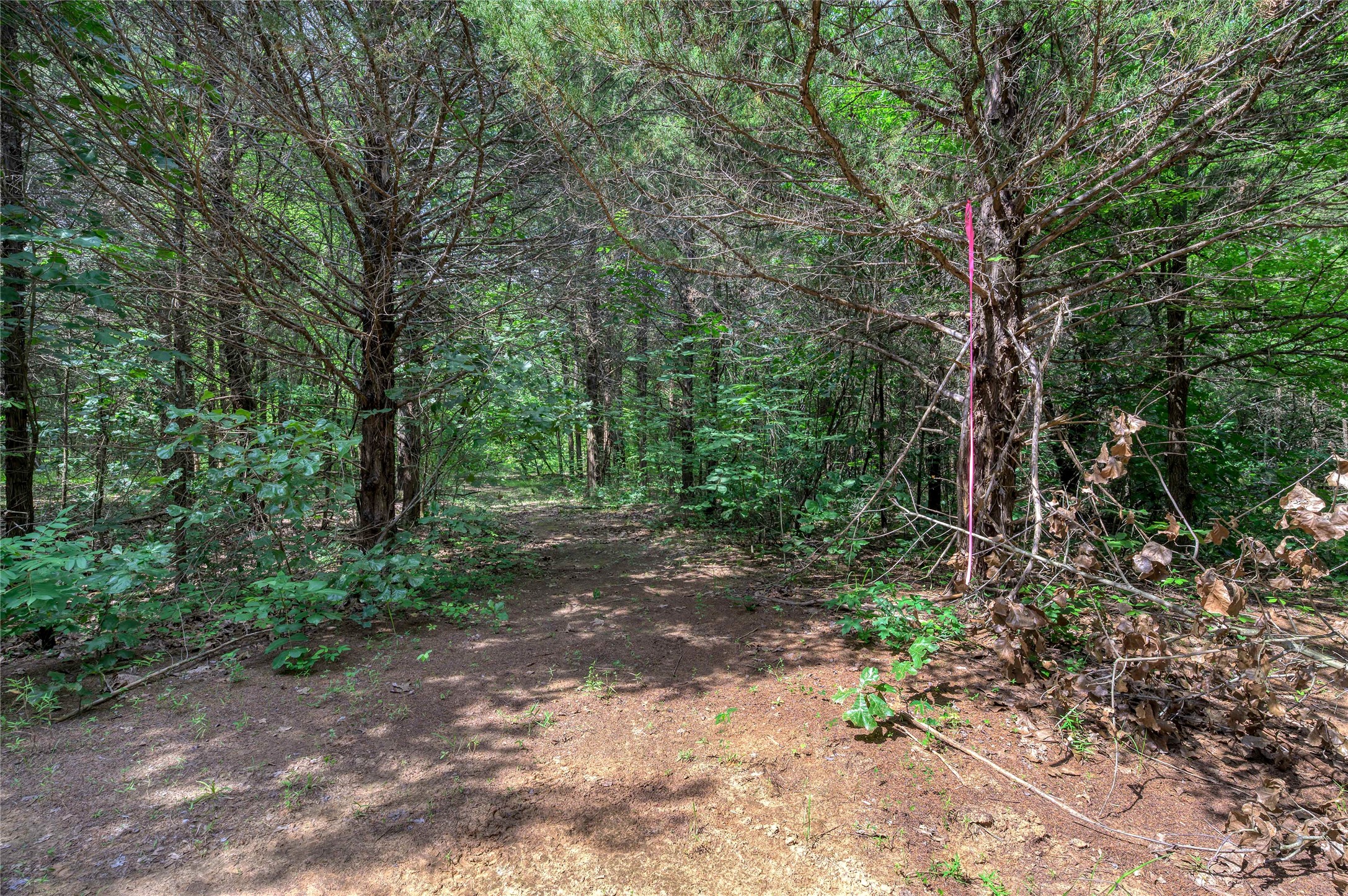 Tbd Cross Timber Estates Drive Denison TX 75021