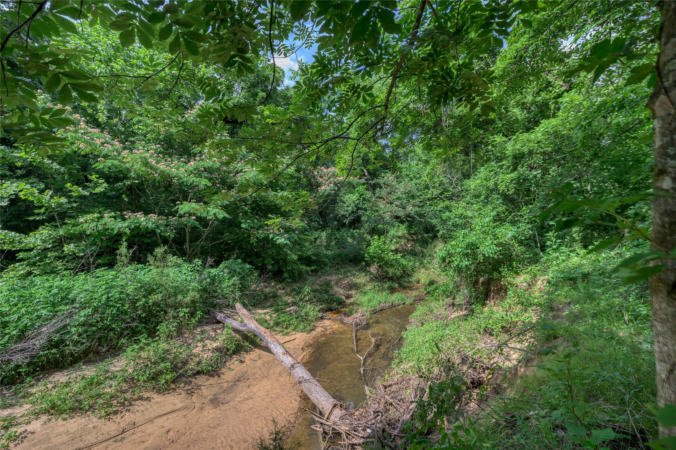 Tbd Cross Timber Estates Drive Denison TX 75021