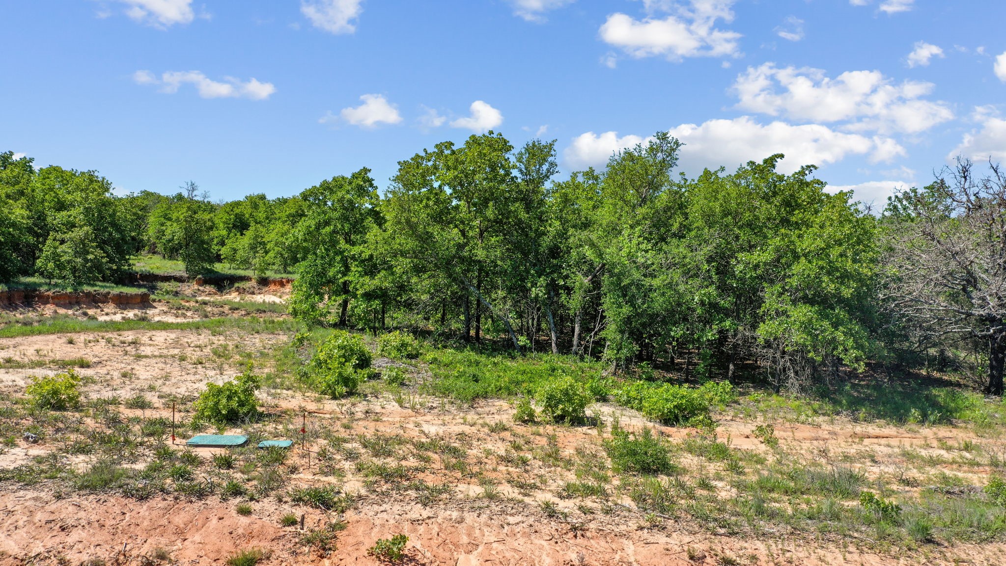 8009 Oak Grove Court Poolville TX 76487