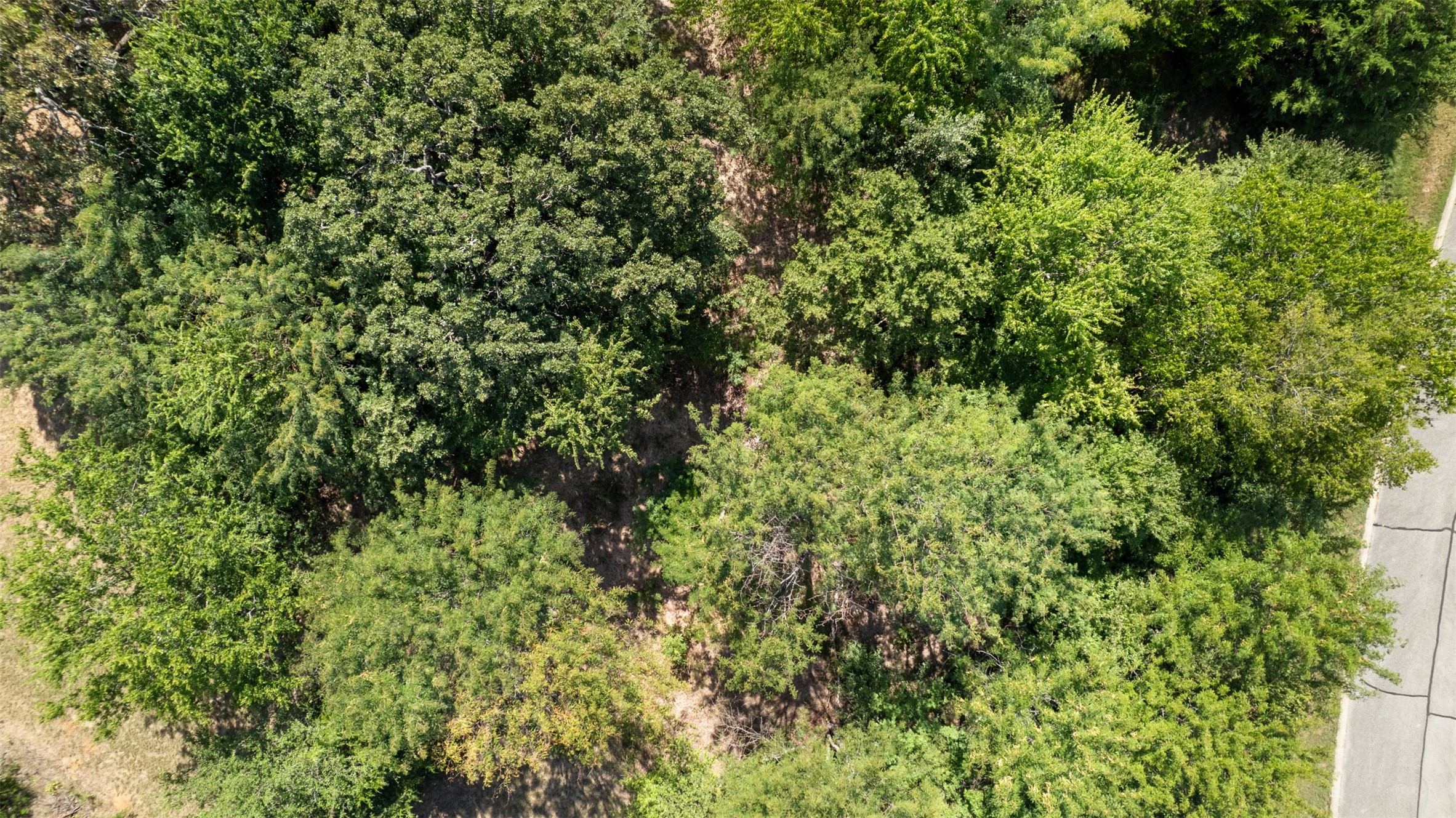 389 Roaring Fork Circle Gordonville TX 76245