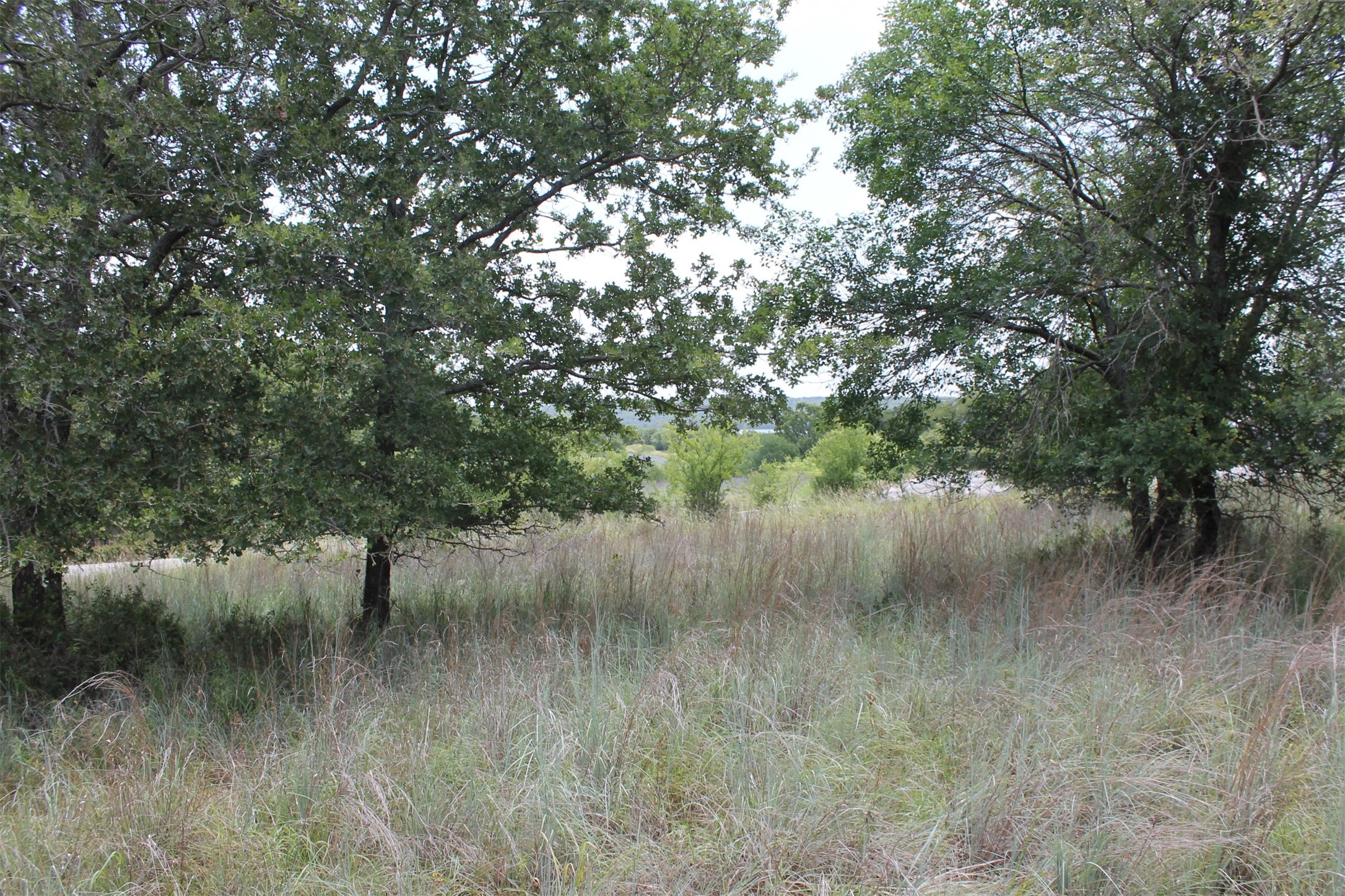 120 Demonbreun Court Chico TX 76431