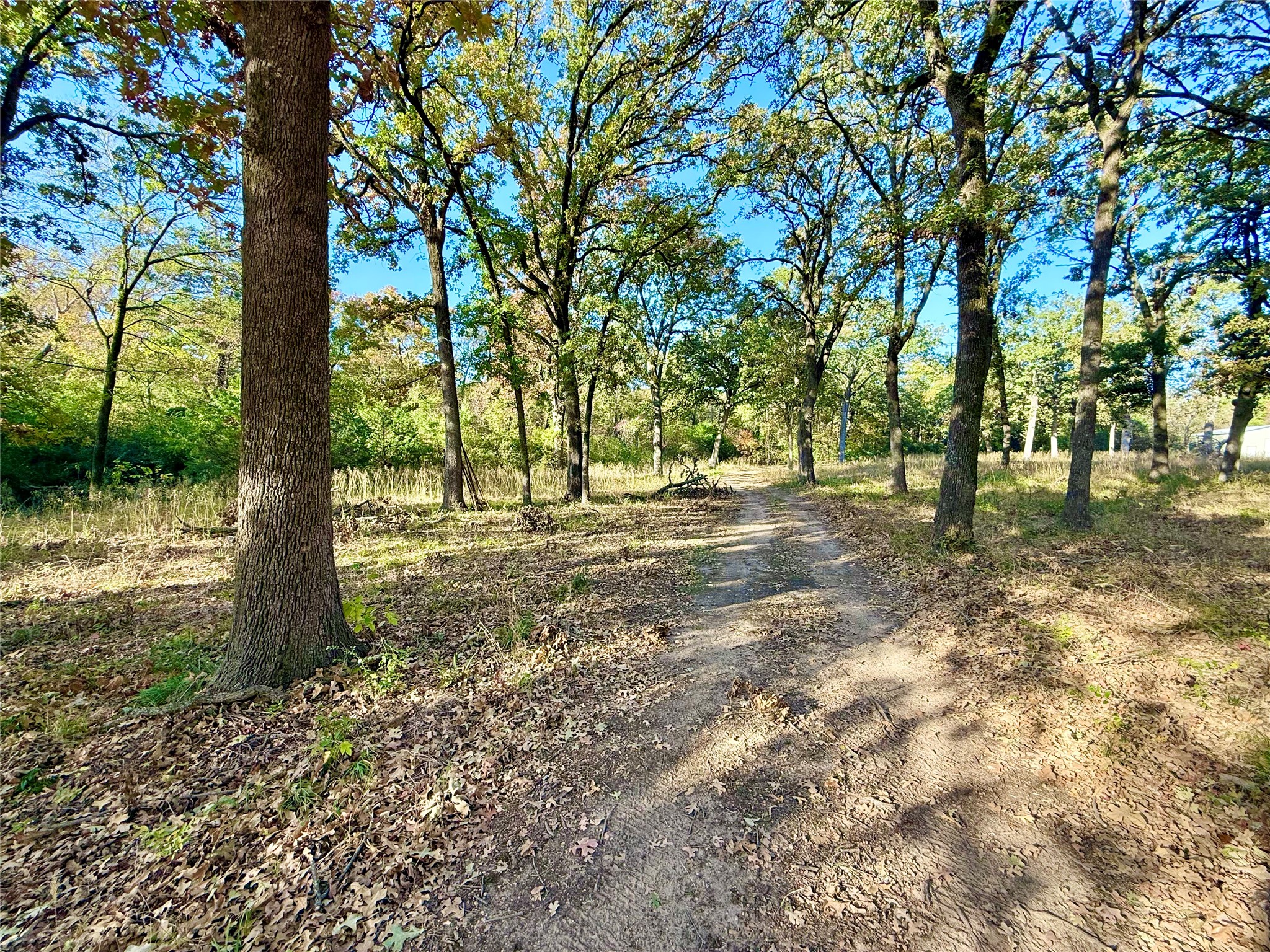 264 County Road 1452 Bonham TX 75418