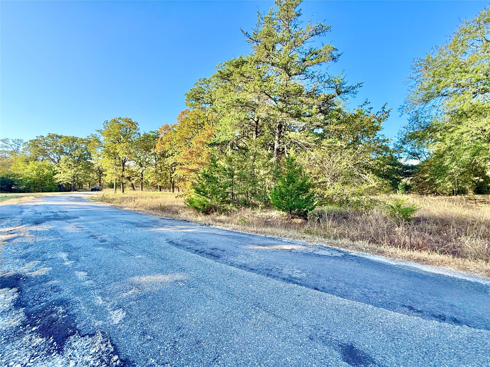 264 County Road 1452 Bonham TX 75418