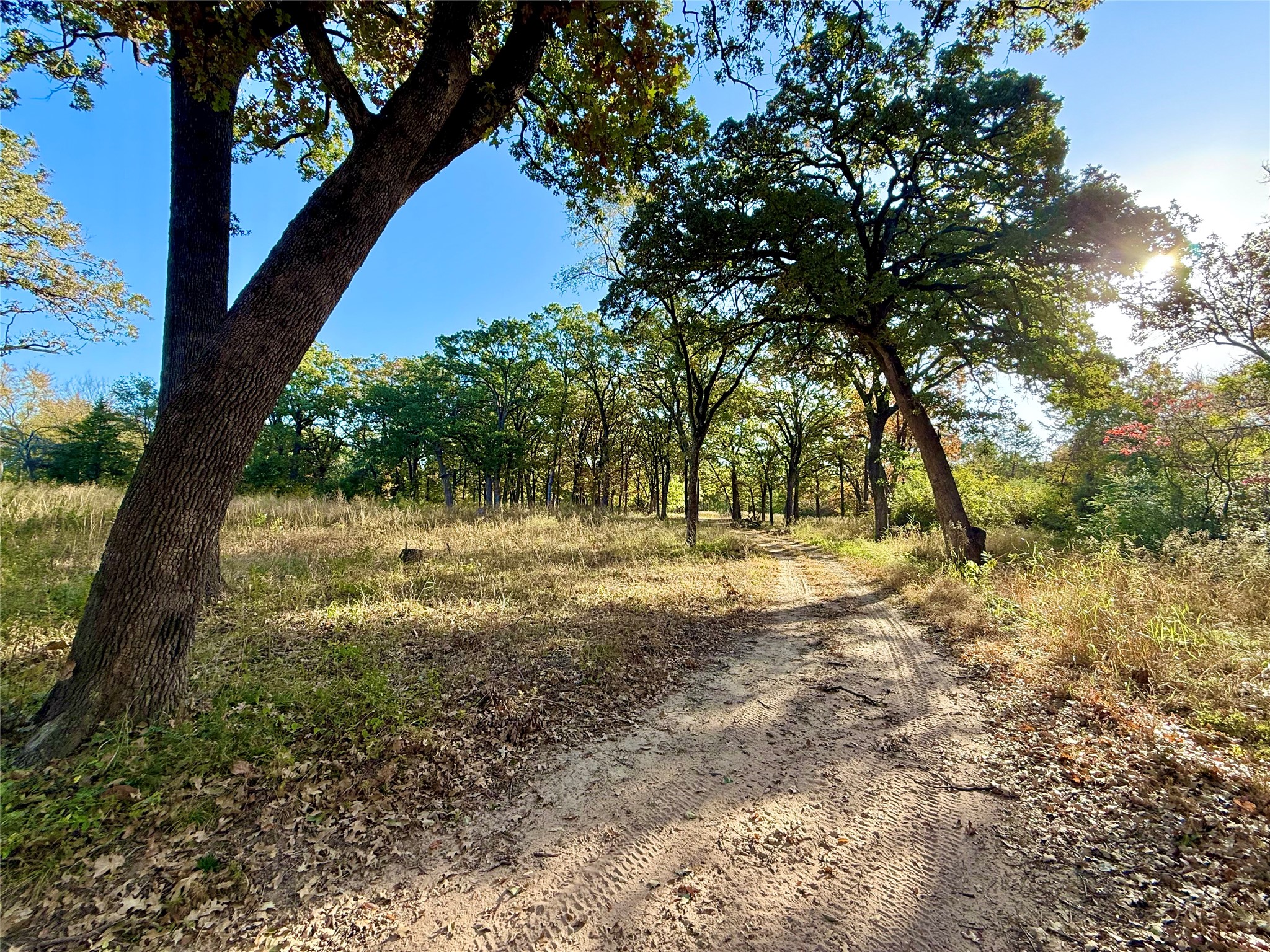 264 County Road 1452 Bonham TX 75418