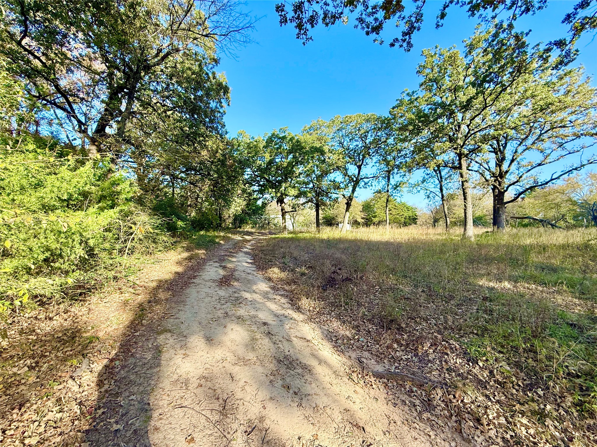 264 County Road 1452 Bonham TX 75418