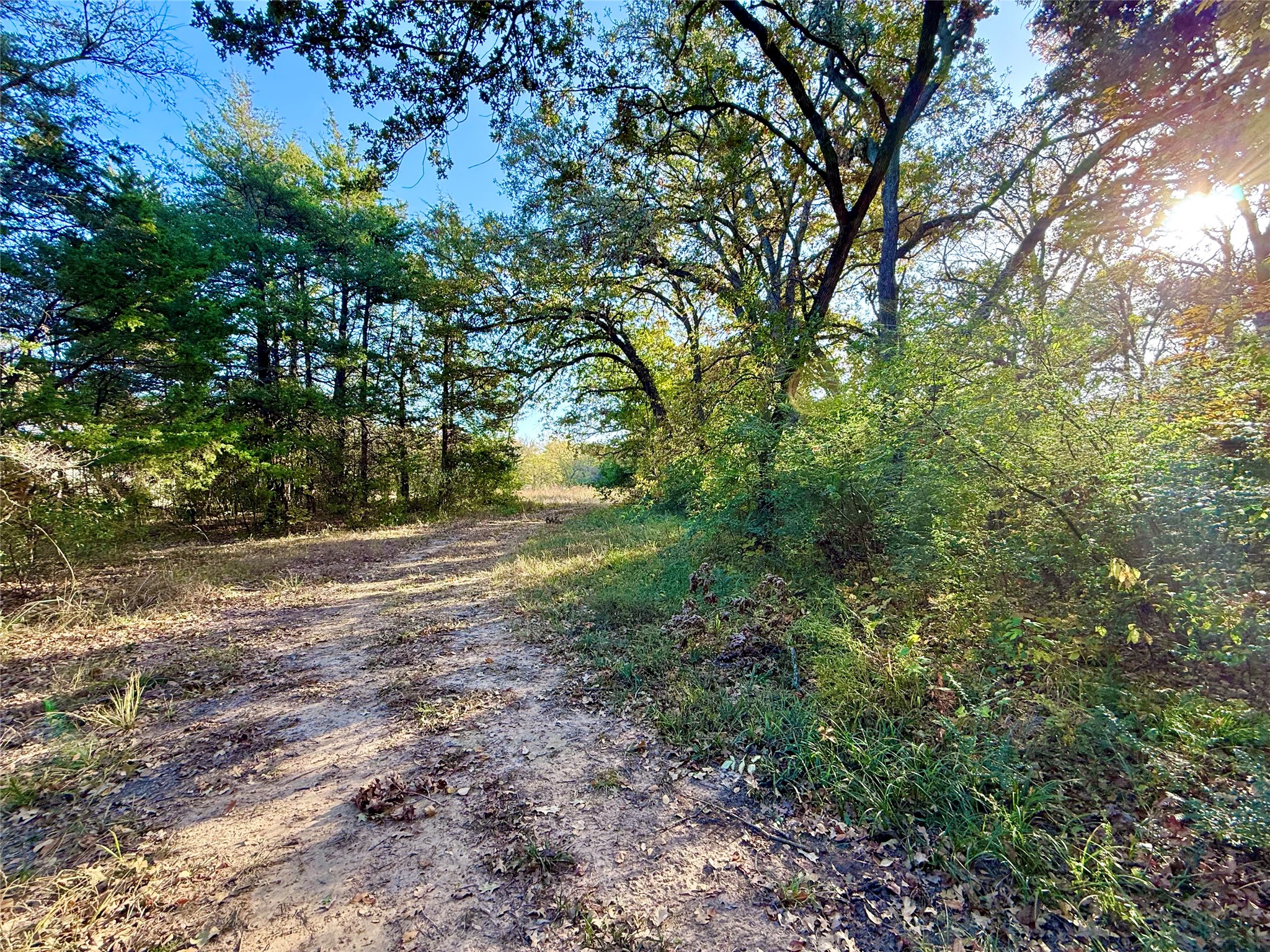 264 County Road 1452 Bonham TX 75418