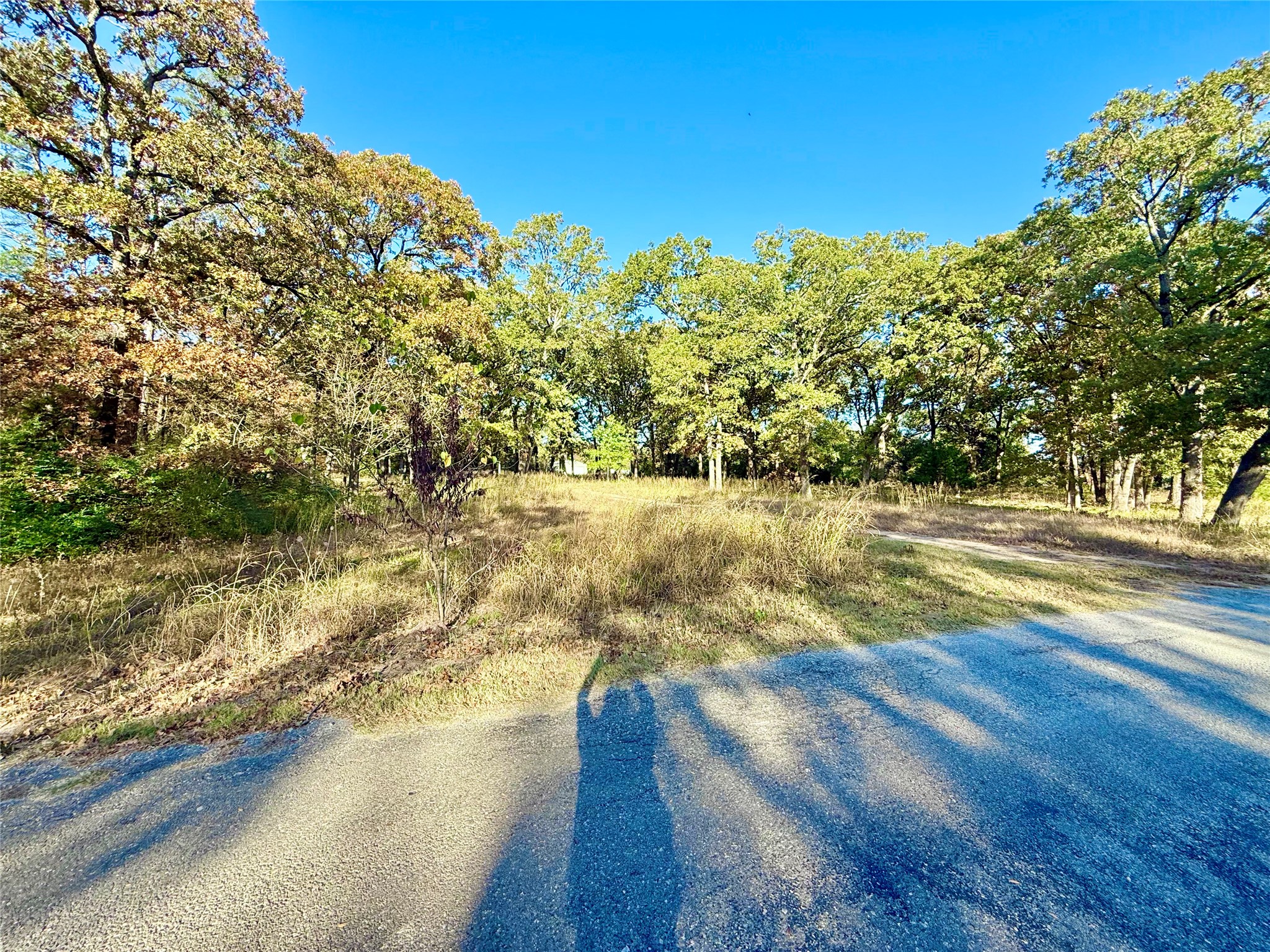 264 County Road 1452 Bonham TX 75418
